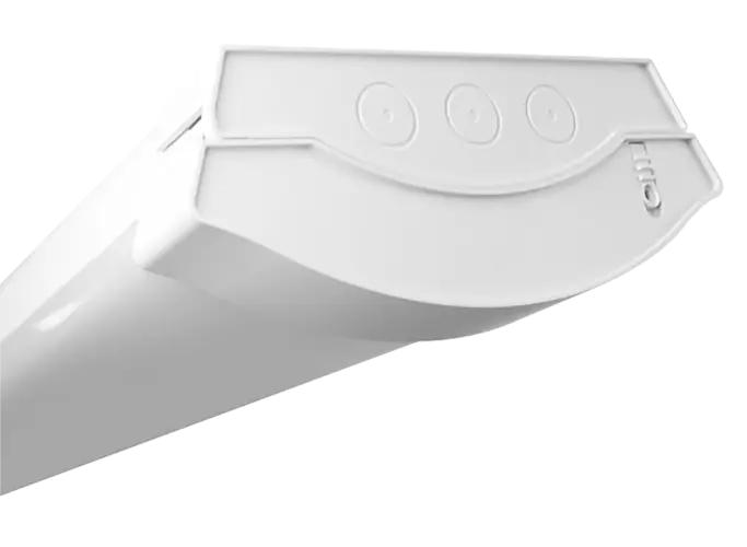 421430 Hi-res images-02.webp