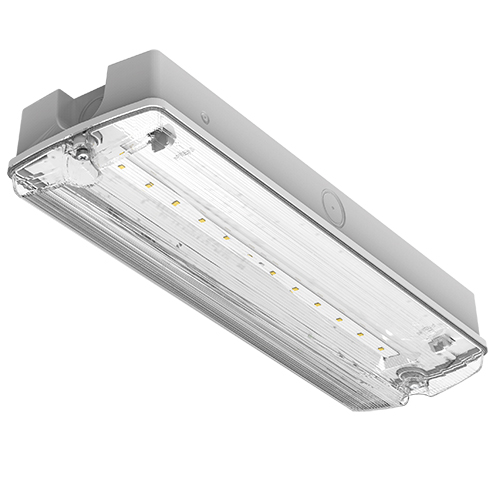 Darwell Emergency Bulkhead 4W 6500K White IP65 E-SEL3 Selectable