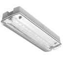 Darwell Emergency Bulkhead 4W 6500K White IP65 E-SEL3 Selectable