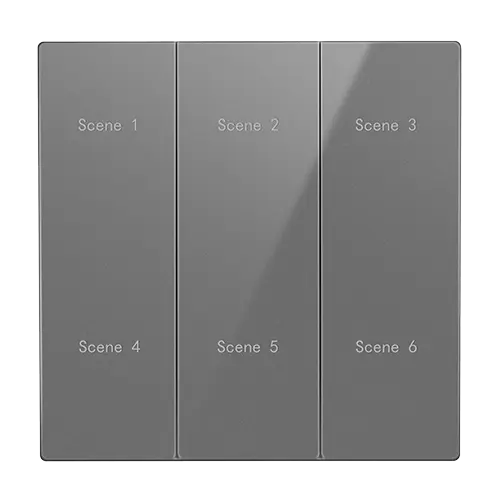 truSmart Six-Key Scene Switch Touch Mains Version          