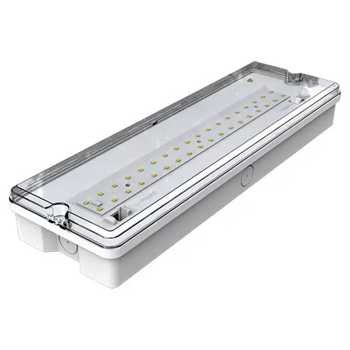 Lumiwave Luna Bulkhead 3W 250Lm 6500K Maintained White 