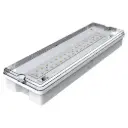 Lumiwave Luna Bulkhead 3W 250Lm 6500K Maintained White 